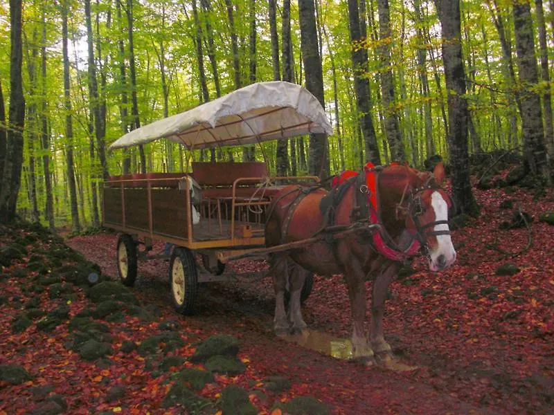 Camping Lava 산타 파우 0*,  스페인